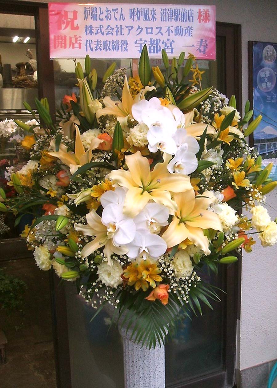 新着情報の画像